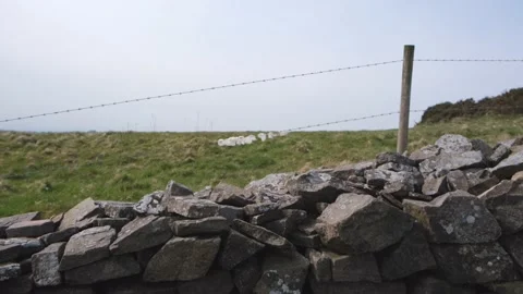 Sheeps Wool Caught On A Barbed Wire Fence On A Very Windy Day On Mendips 動画素材 172505451
