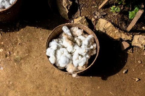 Sheep's wool flakes in bucket Foto stock