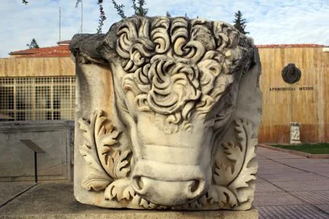 Sheep'shead Stock Photos