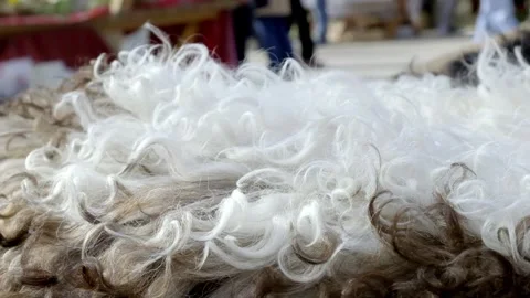 Sheepskin fluttering in the wind Stock Footage 240914351