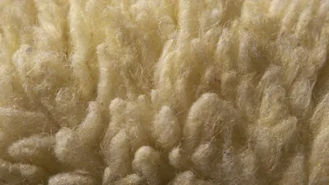 Sheepskin material close-up. Textile background. Macro video slider Stock Footage 152557125
