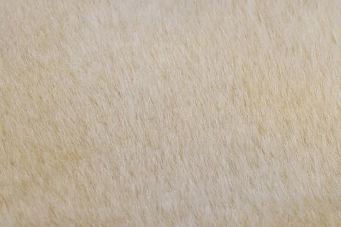 Sheepskin. Natural fur texture. Solid beige background texture 写真素材