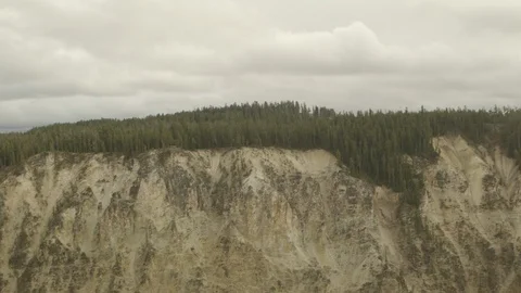 Sheer Cliffs Gorge Alpine Trees near Lower Yellowstone Falls Stock Footage 122224162