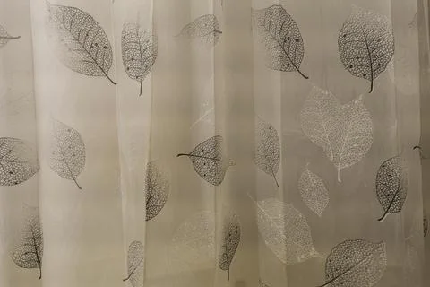 Sheer fabric elegant leaf skeleton pattern Foto stock