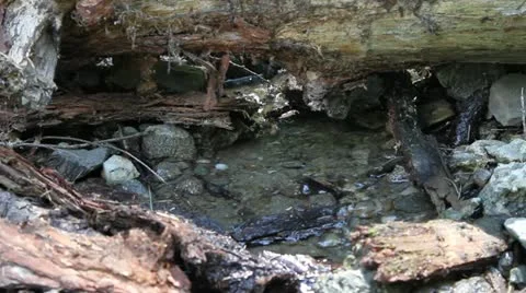 Sheer mountain river Video stock 12046477