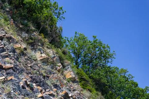 Sheer rock with trees Stock Photos