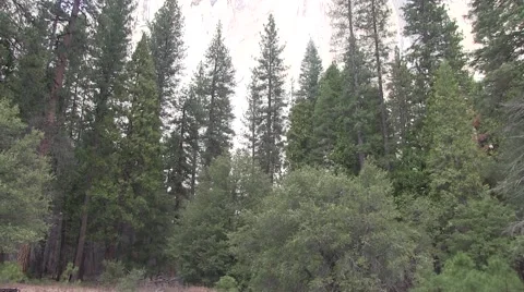 Sheer wall in Yosemite Video stock 46181701