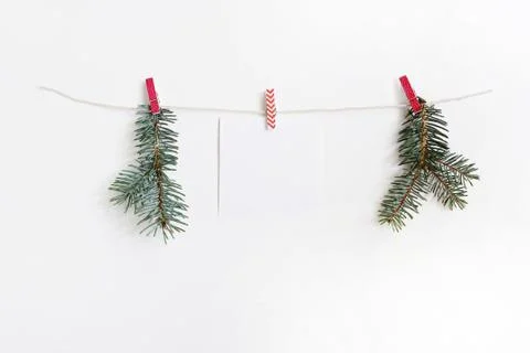 Sheet of blank note paper hanging on the wooden cloth pegs and rope with green Fotos Stock