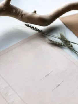 Sheet of breakfast menu with spikelets of wheat and wood branch 写真素材