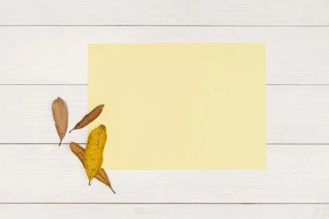 Sheet of colored paper Stock Photos