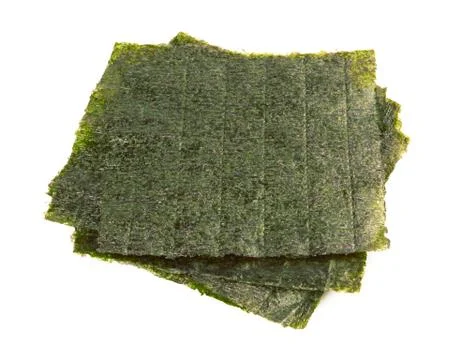 Sheet of dried nori Stock Photos