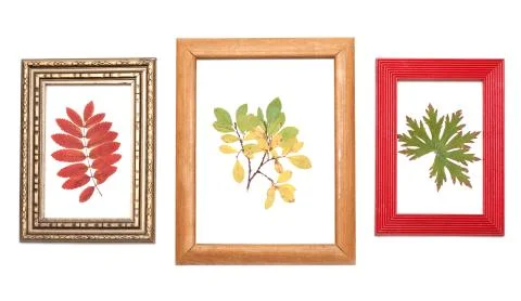 Sheet in frame for photography Stock Photos