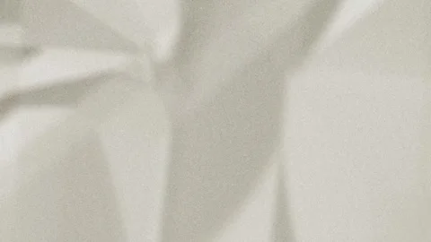 Sheet Moving with Paper Transparent Background Animation Stock Footage 345498478