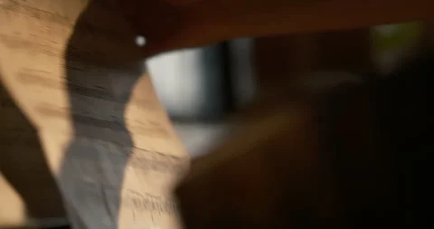 Sheet music with musical notes illuminated by warm, golden light Видео 336782885