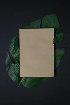 A sheet of old paper on a black background. Stock Photos