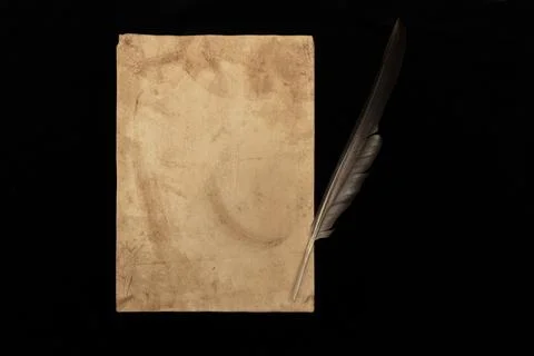 A sheet of paper and a feather. Stock Photos