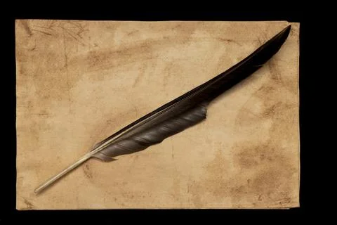 A sheet of paper and a feather. Stock Photos