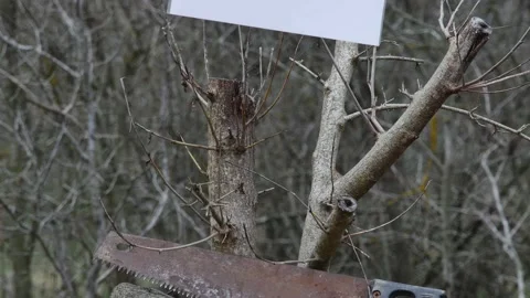 Sheet of paper with the caption -protect the environment on a branch, view f Vídeos de archivo 236191139