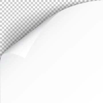 Sheet of paper with curled corner and soft shadow, template for your design.  Stock Illustration