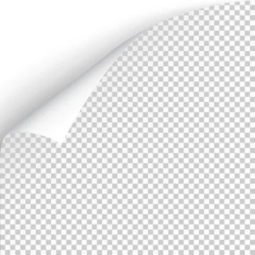 Sheet of paper with curled corner and soft shadow, template for your design.  Stock Illustration
