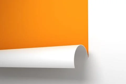 Sheet of paper with the curled corner Stock Illustration