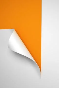Sheet of paper with the curled corner Stock Illustration