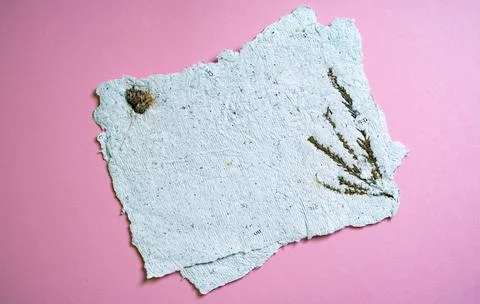A sheet of paper with dried flowers made of recycled paper. Secondary production Stock Photos