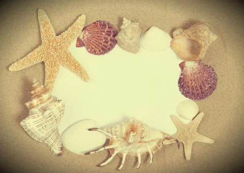 Sheet of paper with a frame from sea shells Fotos Stock