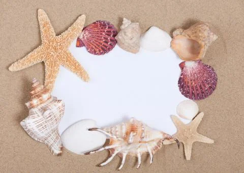 Sheet of paper with a frame from sea shells Fotos Stock