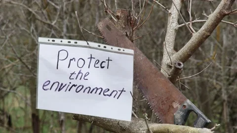 A sheet of paper with the inscription protect the environment on a branch, c 스톡 동영상 236190817