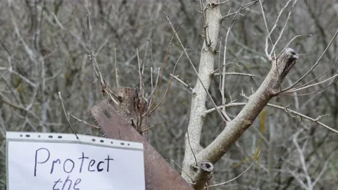 A sheet of paper with the inscription protect the environment on a branch in Vídeos de archivo 236190848