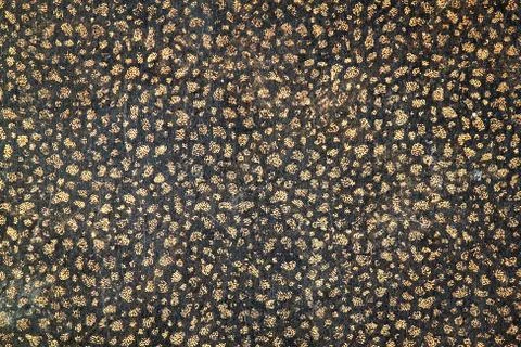 Sheet of paper Stock Photos