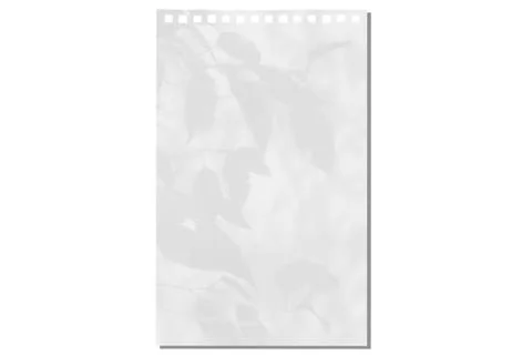 Sheet of paper on a transparent background with a shadow of tree leaves Stock Photos