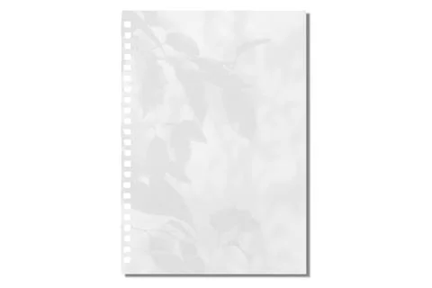 Sheet of paper on a transparent background with a shadow of tree leaves 写真素材