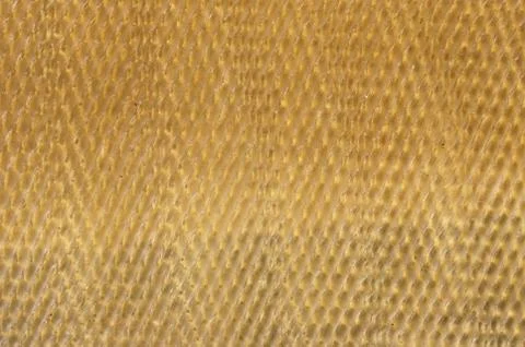 Sheet of rubber. Stock Photos