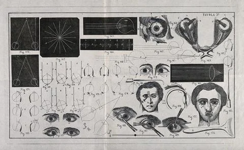 A sheet showing optical instruments, eye examinations, diagrams to show the.. Stock Illustration