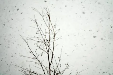 Sheet of snow Stock-Fotos