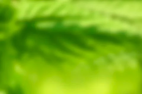 The sheet surface is in sunlight Stock Photos