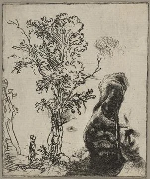 Sheet with Two Studies: A Tree and the Upper Part of a Head of Rembrandt We.. 스톡 사진
