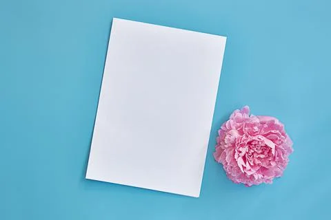 Sheet of white paper with space for text on a blue background. Peony flower.Top Stock Photos
