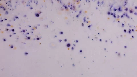 Sheets of eco recycled material. Stock Footage 329739773