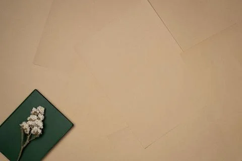 Sheets of paper background with flower on a notebook. Vintage. Copy space Stock Photos