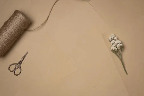 Sheets of paper background with string, scissors and flower. Vintage. Flat .. Stock Photos