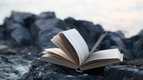 Sheets thumbed through the book in the wind. Book lies on a rock by the sea Stock Footage 58411780