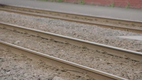 Sheffield Tram Arriving Stock Footage 102386685