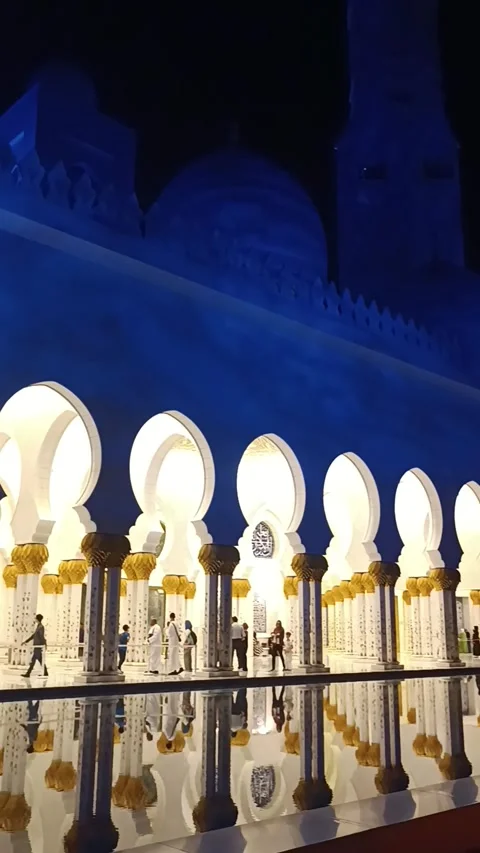 Sheik Zayed Mosque in Abu Dhabi during the night. Stock Footage 291387547