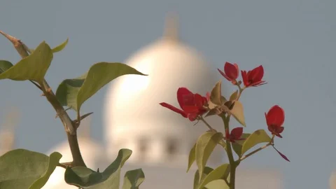 Sheikh Zayed Grand Mosque , Abu Dhabi, United Arab Emirates Stock Footage 128940324
