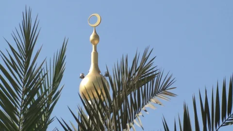 Sheikh Zayed Grand Mosque , Abu Dhabi, United Arab Emirates Stock Footage 128940440