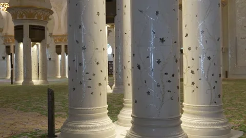 Sheikh Zayed Grand Mosque Stock Footage 248820815