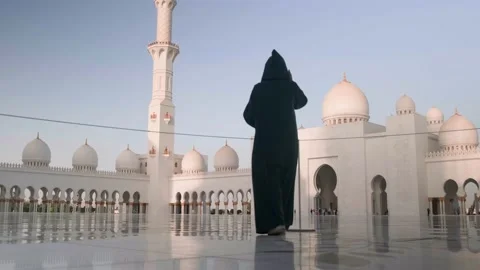 Sheikh Zayed Mosque in Abu Dhabi Stock Footage 234576187